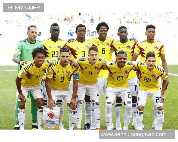 智利现役足球队球星名单及其在国际赛场的表现分析